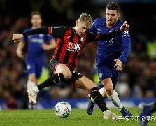 IM电竞app推荐-伯恩茅斯球员名单