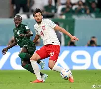 IM电竞app下载-波兰惨败